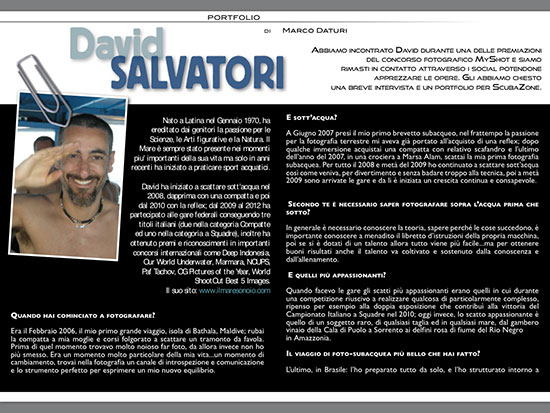 david salvatori